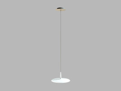 0270 hanging lamp