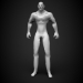 3D Modell der Körper - Vorschau
