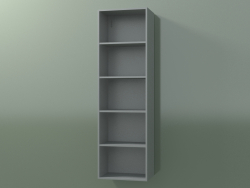 Wall tall cabinet (8DUBDC01, Silver Gray C35, L 36, P 24, H 120 cm)