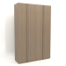 3d model Wardrobe MW 01 wood (1800x600x2800, wood grey) - preview