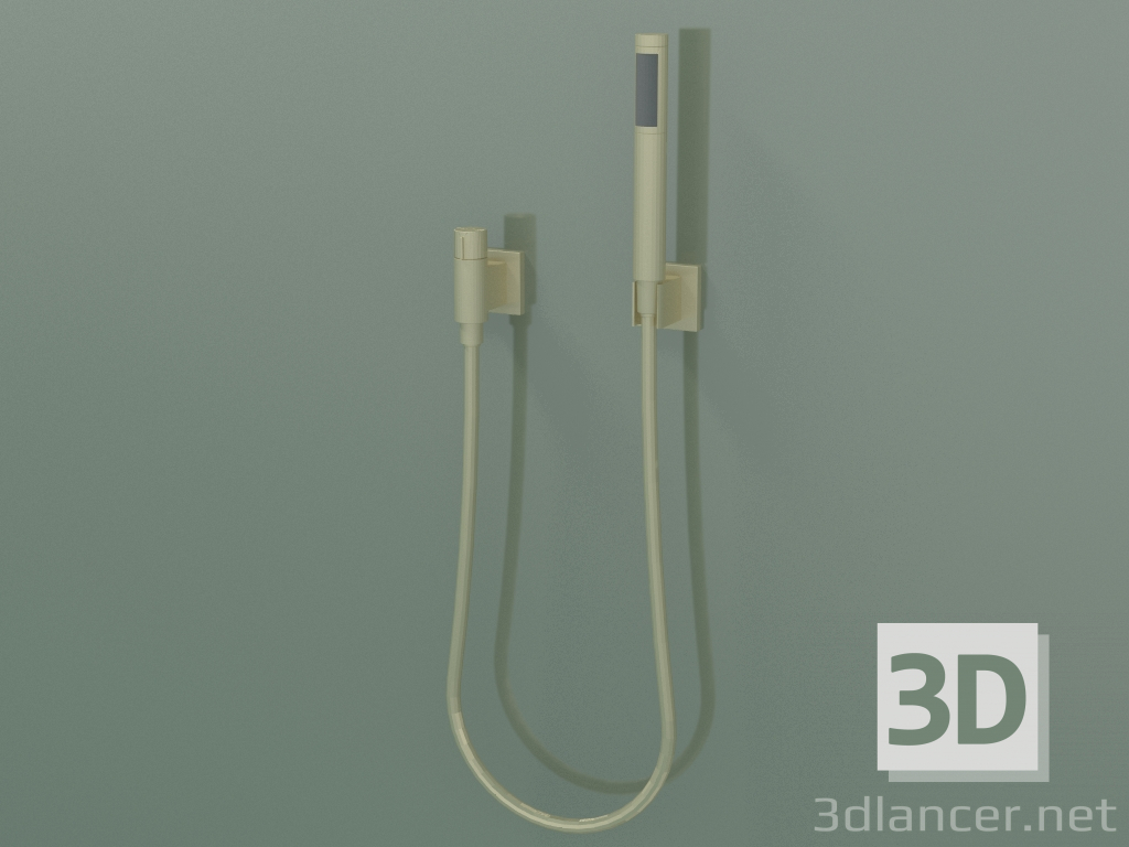 3d model Hand shower set with separate covers (27 809 980-280010) - preview