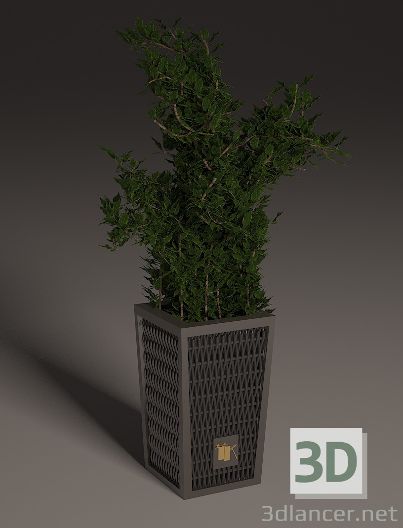 3d Горшечные растения модель купить - ракурс