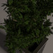modello 3D di piante in vaso comprare - rendering