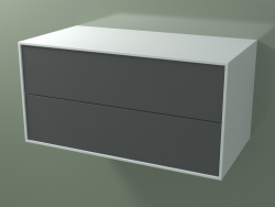 Ящик двойной (8AUDCB01, Glacier White C01, HPL P05, L 96, P 50, H 48 cm)