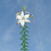 3d model White Lily - preview