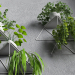 Estantería modular con plantas. 3D modelo Compro - render