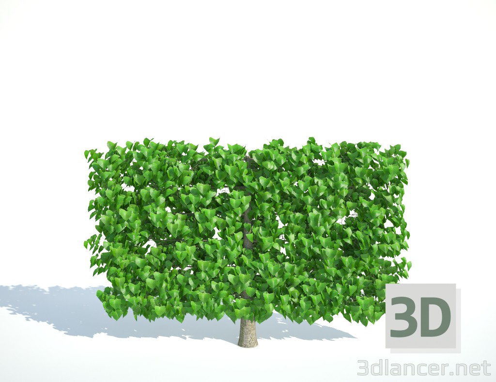 3d Lime tapestry low model buy - render