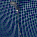 modello 3D Annaffiatoio doccia - anteprima