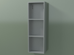 Wall tall cabinet (8DUADA02, Silver Gray C35, L 24, P 12, H 72 cm)