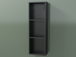 Wall tall cabinet (8DUADA02, Deep Nocturne C38, L 24, P 12, H 72 cm)