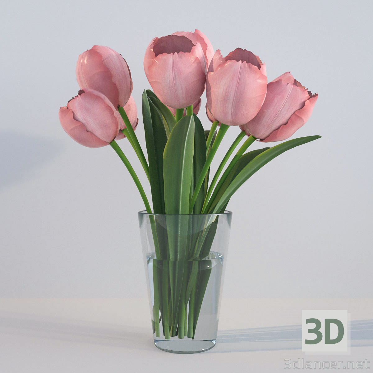 3d модель Тюльпаны – превью