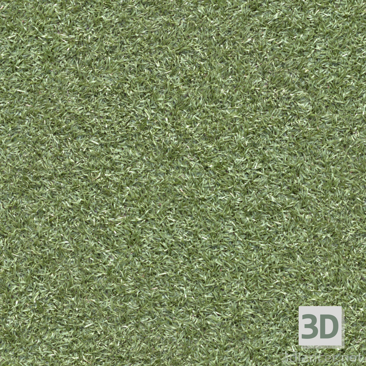 Texture Grass free download - image