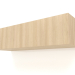 modello 3D Mensola pensile ST 06 (2 ante, 1000x315x250, legno bianco) - anteprima
