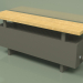 3D modeli Konvektör - Aura Bank (240x1000x186, RAL 7013) - önizleme