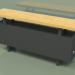3d модель Конвектор - Aura Bench (280х1000х186, RAL 9005) – превью