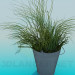 modèle 3D Seau avec de l’herbe décorative - preview