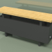 3D modeli Konvektör - Aura Bank (280x1000x236, RAL 9005) - önizleme