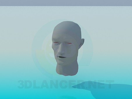 modèle 3D Tête d’homme - preview