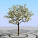 3 डी मॉडल सेब के पेड़ - पूर्वावलोकन