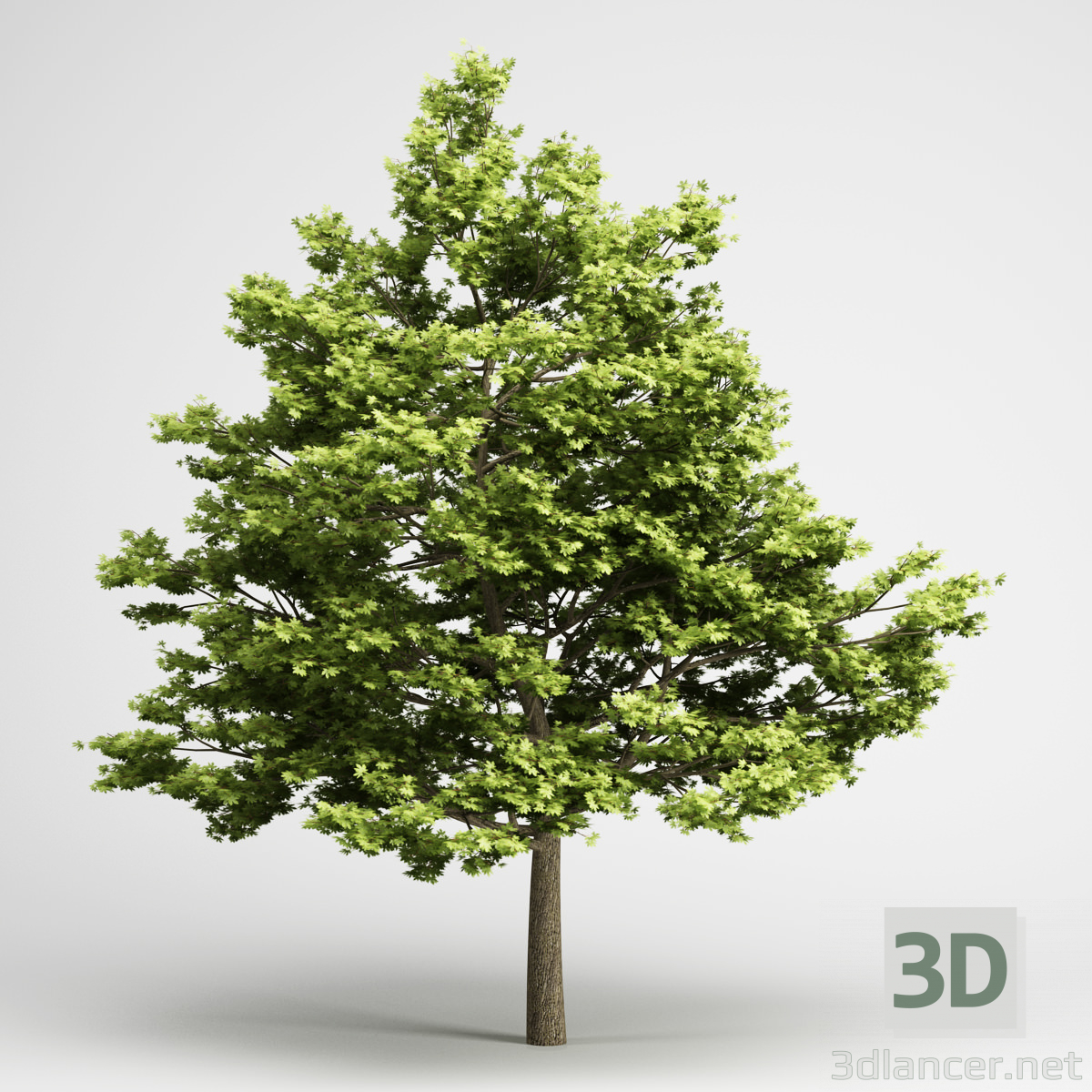 Modelo 3d Árvore Alta - preview