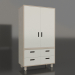 3d model Wardrobe closed TUNE HB (WNTHBA) - preview