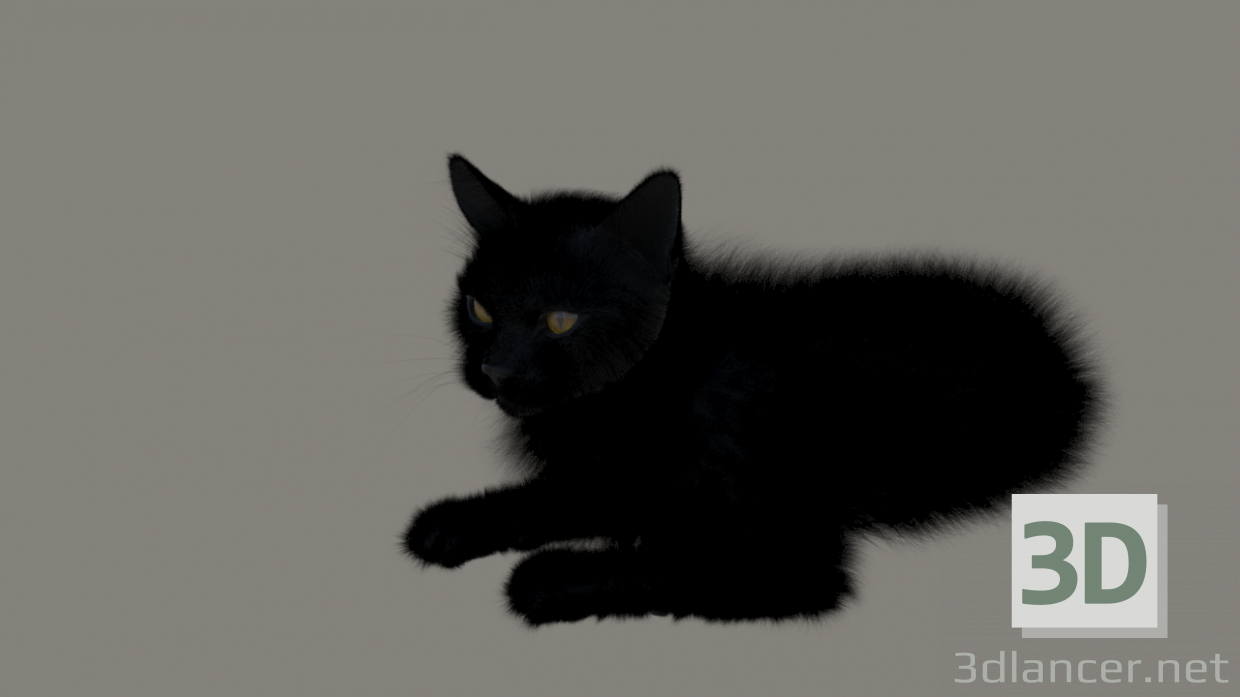 modello 3D Gatto con pelliccia nera - anteprima