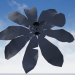 3 डी मॉडल फूल - पूर्वावलोकन