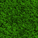 Descarga gratuita de textura Texturas de hierba - imagen