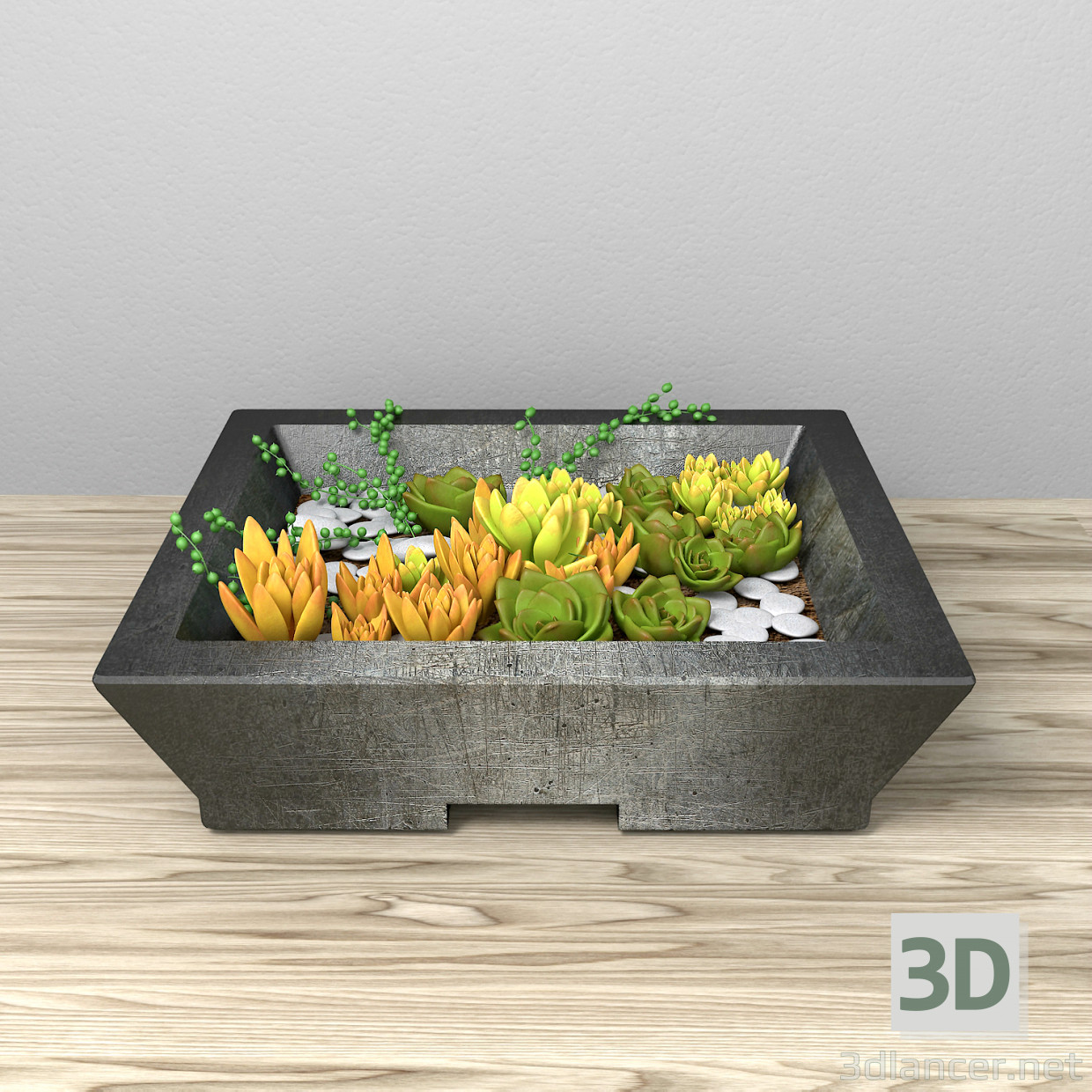 3 डी Succulents मॉडल खरीद - रेंडर