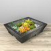 3D Succulents modeli satın - render