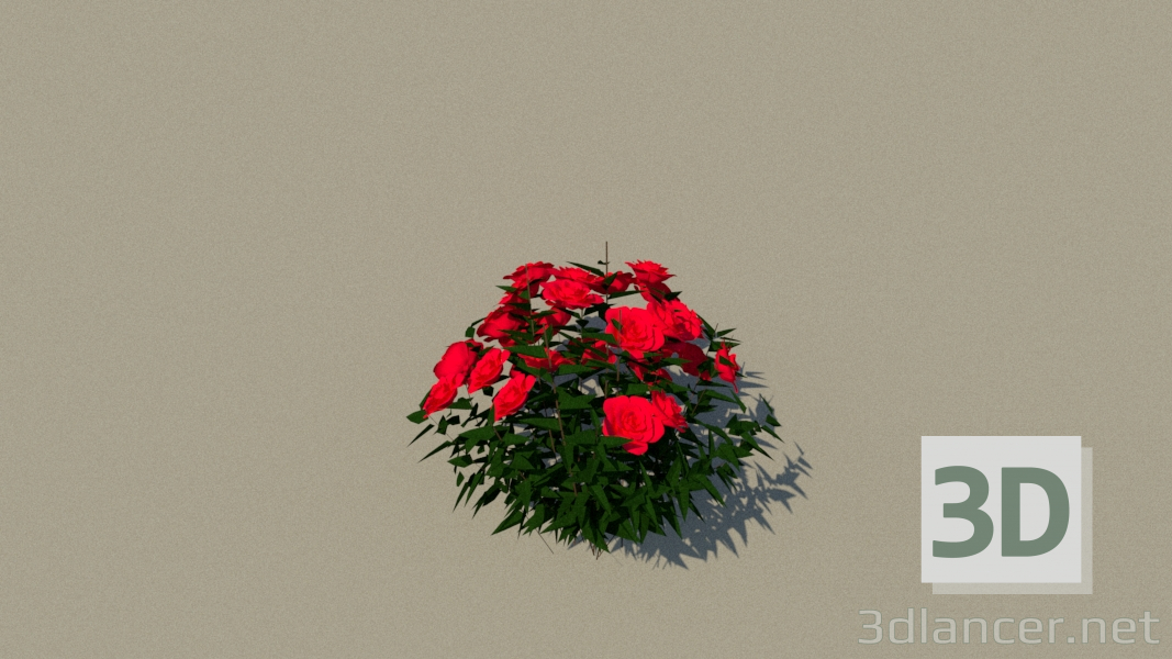 3 डी मॉडल गुलाब - पूर्वावलोकन