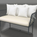 3d модель 2-местный диван (Anthracite) – превью