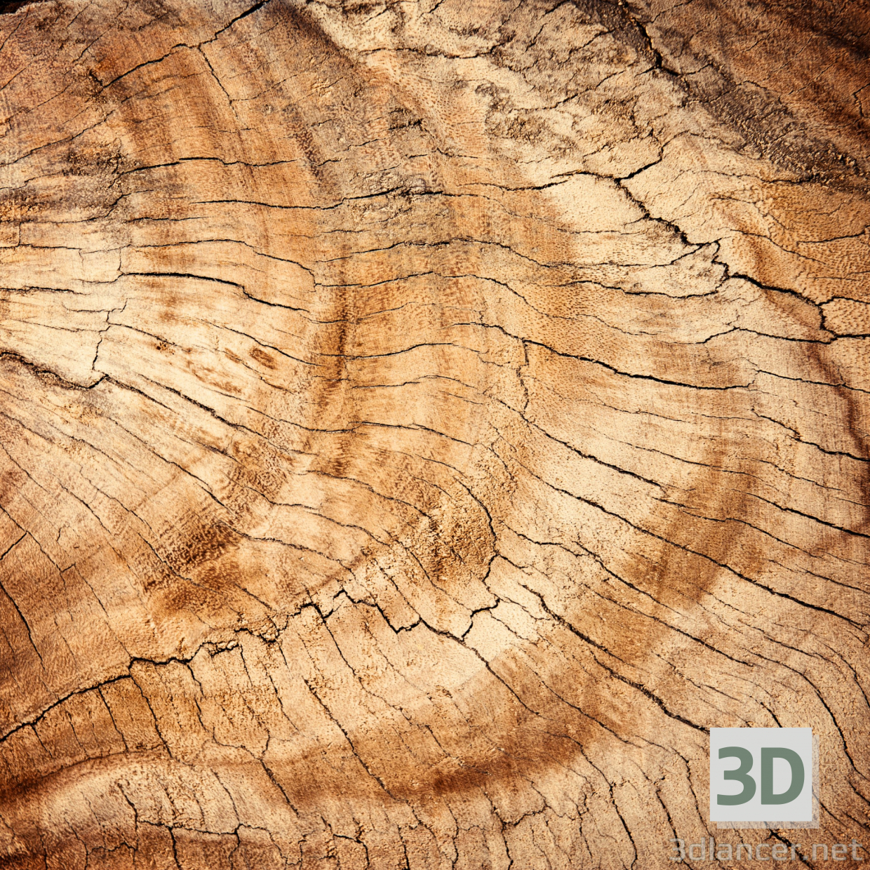 बनावट पेड़ काटा 19 मुफ्त डाउनलोड - छवि