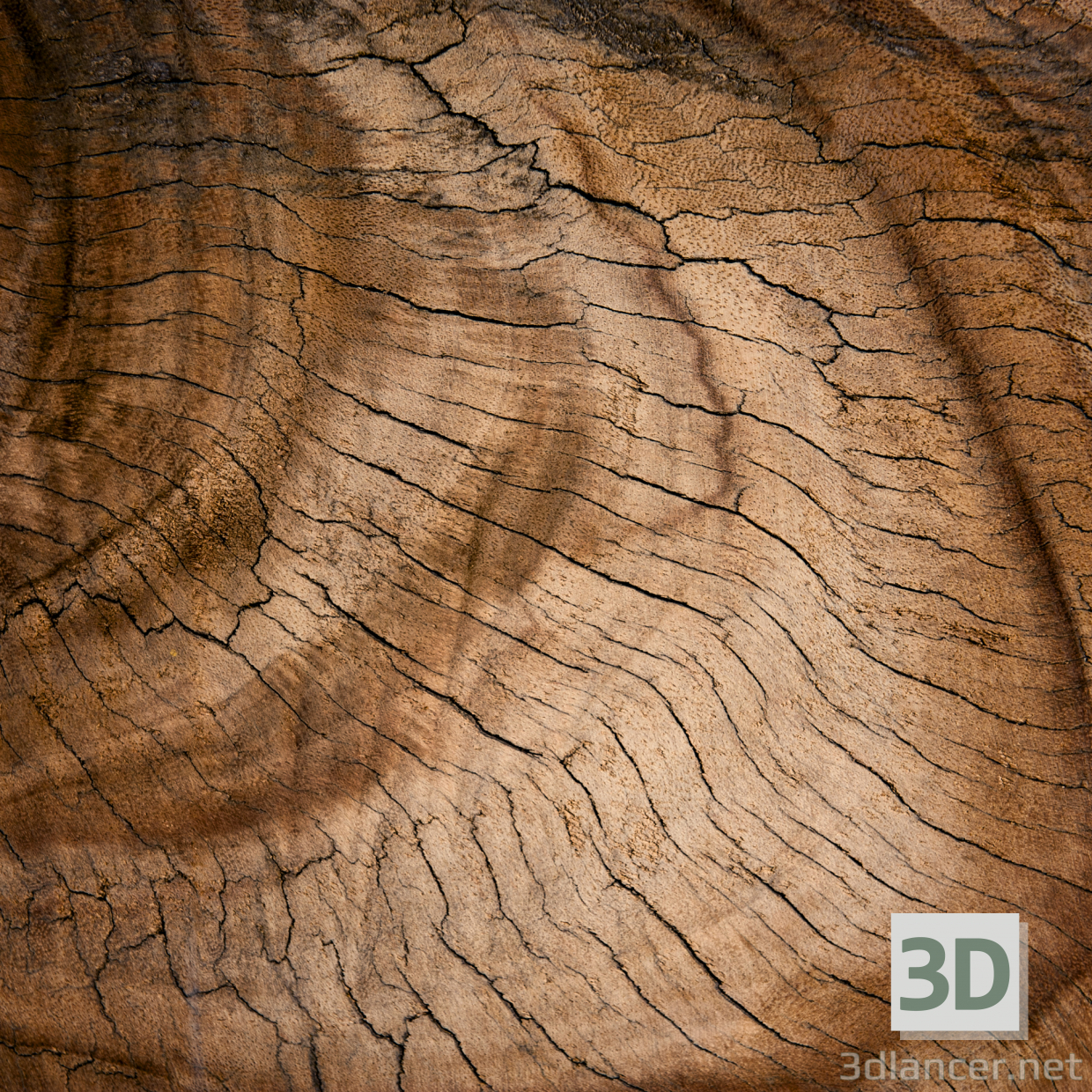 बनावट पेड़ काटा 21 मुफ्त डाउनलोड - छवि