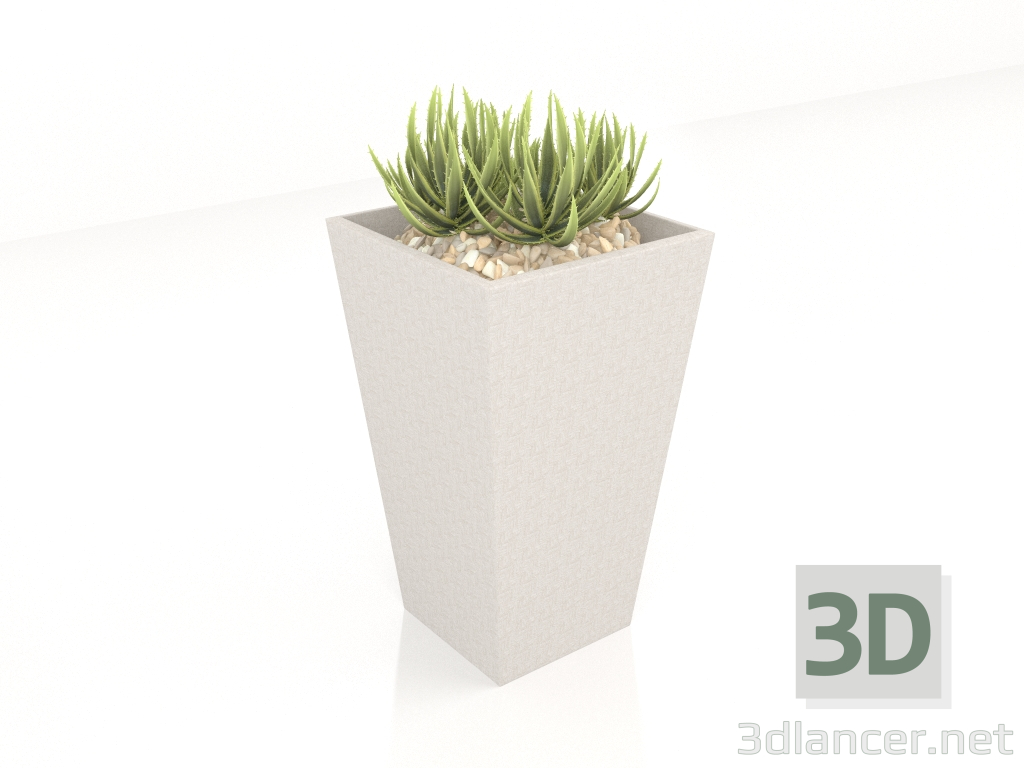 modello 3D Vaso quadrato (OD1060) - anteprima
