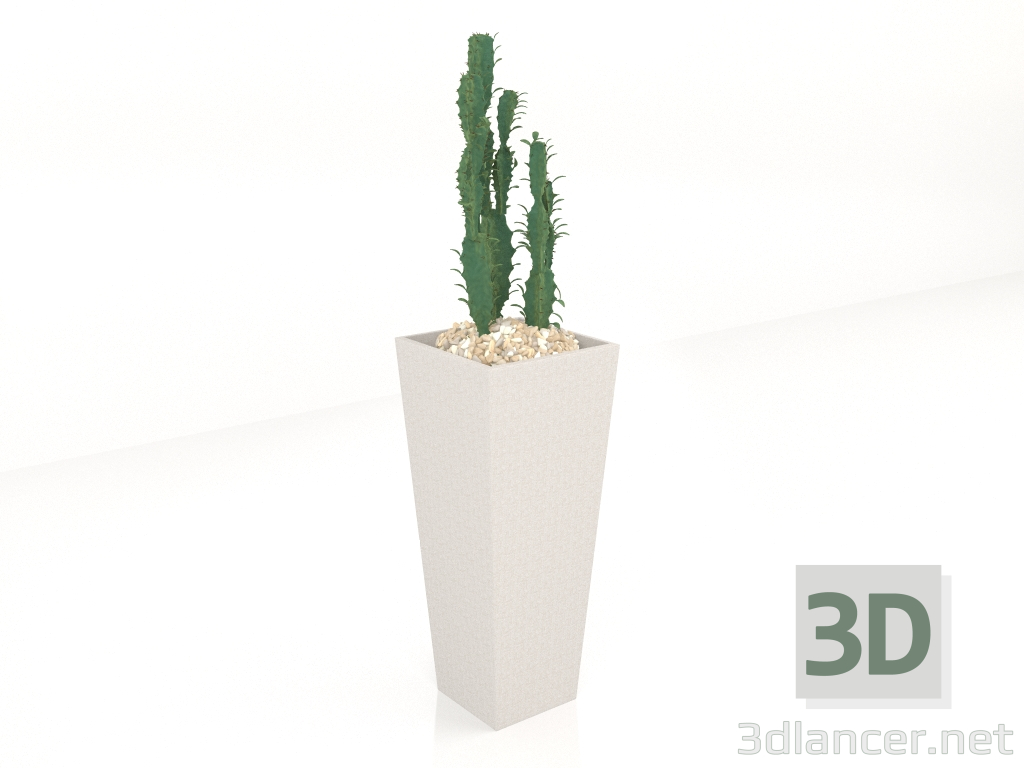 3 डी मॉडल चौकोर फूलदान (OD1061) - पूर्वावलोकन