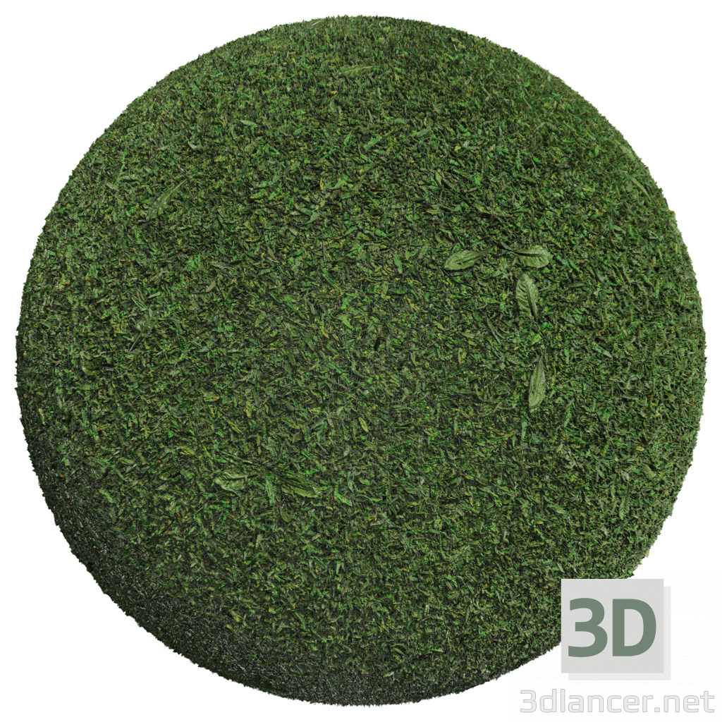 Descarga gratuita de textura Grass 001 - imagen