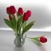 3d модель Кувшин с тюльпанами – превью