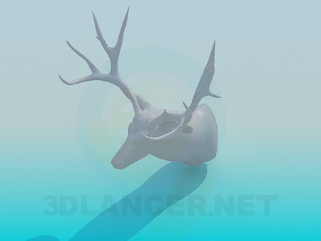 modello 3D Testa di cervo - anteprima