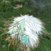 3d Mount Taranaki / mount Egmont 3D model / 3D модель гори Таранаки, Нова Зеландія модель купити - зображення