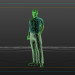 3D Modell Mensch - Vorschau