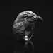 3d Ring of the Eagle model buy - render