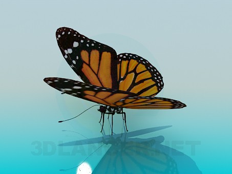 3d модель Метелик – превью
