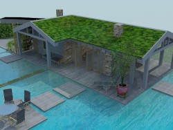 Yüzme havuzlu ev