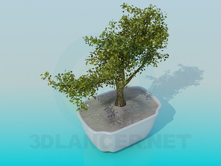 modèle 3D Arbre décoratif de mini - preview