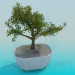 3D modeli Dekoratif mini ağaç - önizleme