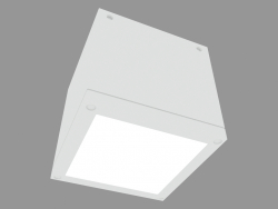 Lámpara de techo LOFT CEILING (S6671)