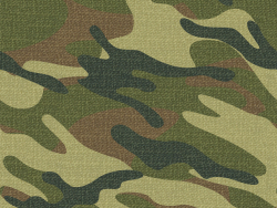 tissu camouflage 38