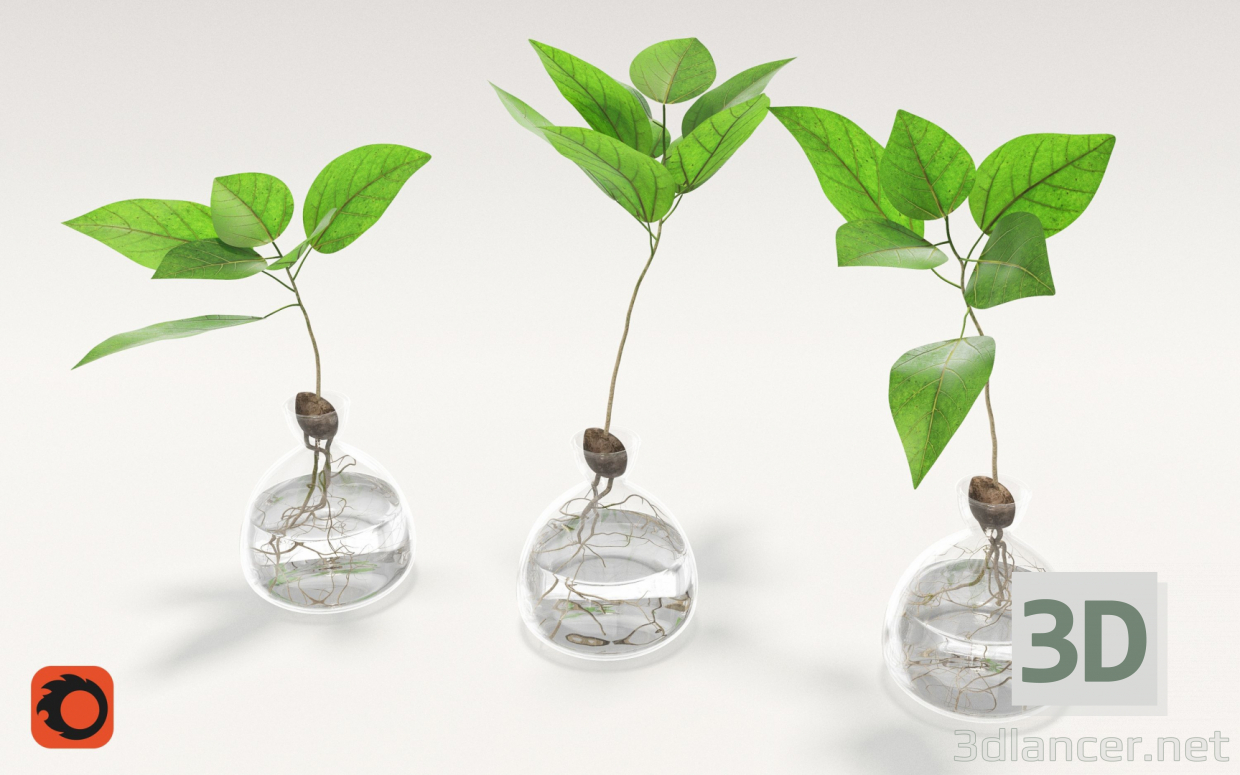 Vasen mit Pflanzen. 3D-Modell kaufen - Rendern