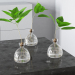 3D Bitkiler ile vazolar. modeli satın - render